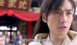 沈家大小姐沈青青爆料最新,揭秘娱乐圈背后的惊人真相！